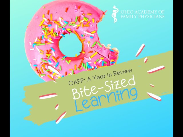 Bite-Sized Learning: A Year in Review