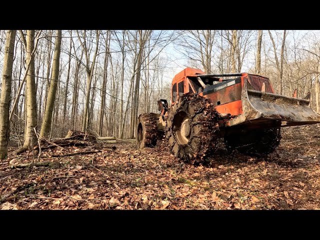 Big Smoke pulling Timber // Felling timber with Husqvarna 562 &Stihl 500i