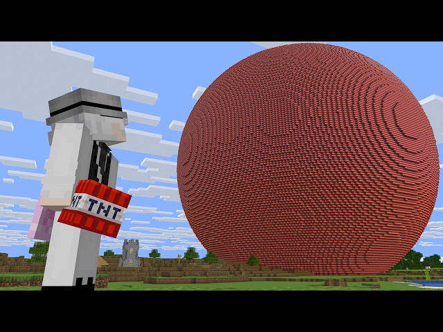 I Destroyed Donut SMP