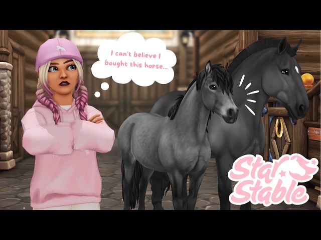 horses i REGRET buying! ✨ SSO