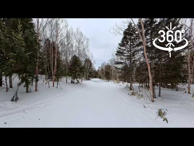 【360°動画】パノラマスキー　志賀 東舘山ロングラン　絶景と大自然