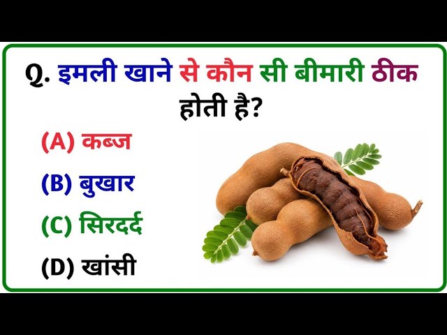 GK Quiz in Hindi | GK Questions and Answers | General Knowledge Quiz | MindQuestHub