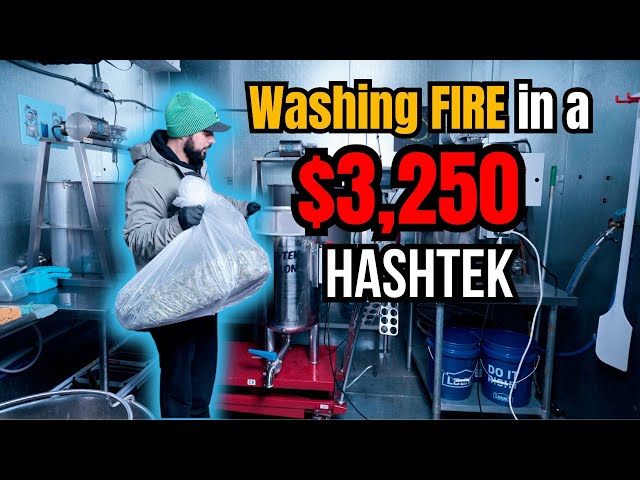 Washing 10lbs of Fire in a Hashtek BubbleTek 🔥 | Rosin Tech Labs Micro Batch Breakdown