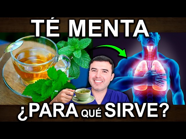 TE DE MENTA TODOS LOS DIAS - Para Que Sirve, Beneficios Y Contraindicaciones Para Tu Salud Y