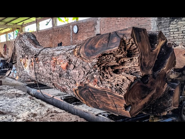 SPECTACULAR | Watch Monster Machines Handle Gigantic Logs - Sawmill Trembesi