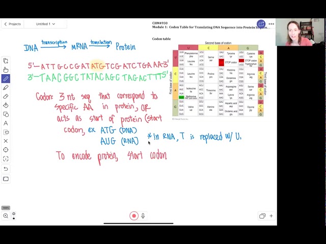 CHM4930 Transcription and Translation Interpretation of Codon Table 082020