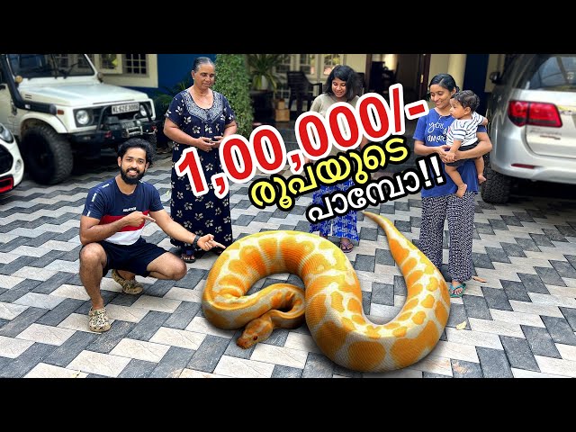 💥അയ്യോ.. പാമ്പ്.... | Surprised My Family With a “REAL” Python