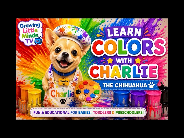 Learn Colors with Charlie the Chihuahua | Best Learning Video for Toddlers | Educational