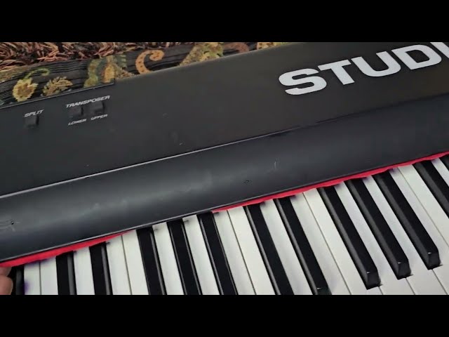 TMI Lab   Fatar Squeaky Clicky Keybed - Synth repair
