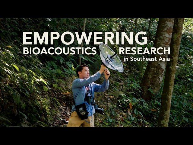 Empowering Bioacoustic Research in Southeast Asia
