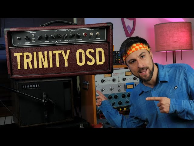 Building the Legendary Dumble #124 (Trinity OSD Amp Build & Demo)