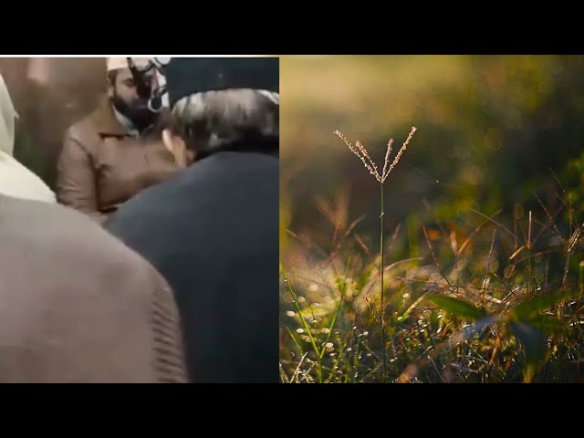 Hashar men jab unko sajde se uthaya jaeyga I Zeeshan Ali Sabri #naat #foryou