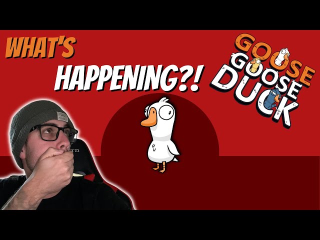 WHAT IS GOING ON?! - Goose Goose Duck Gameplay