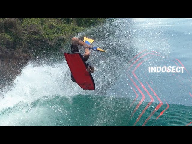 INDOSECT 2025