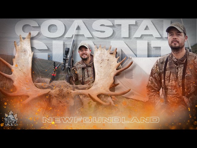 Coastal GIANT (Moose Hunting The Coast of Newfoundland) | Canada in the Rough