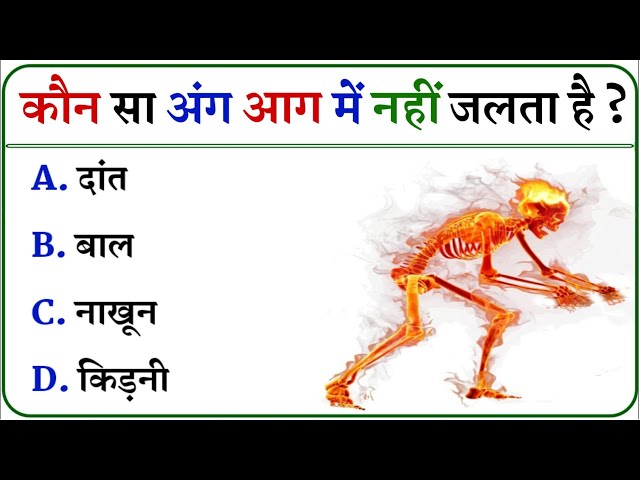 Gk Questions || Gk In Hindi || General Knowledge || Gk Quiz || Gk ke sawal