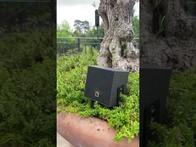 Dual 2.1 L'Acoustics X4i and SB10 speaker systems. #audioexcellence #smartaudio #lacoustics