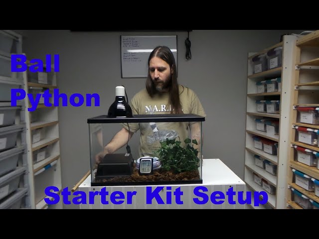 Ball Python Starter Kit Setup for Beginners