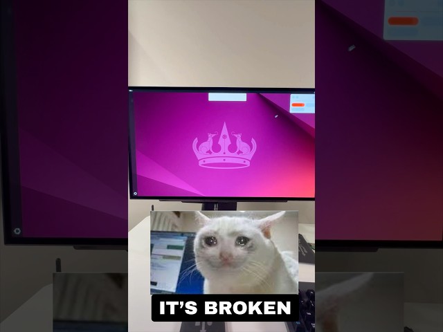 I Ran the Linux Command Everyone Warns You About