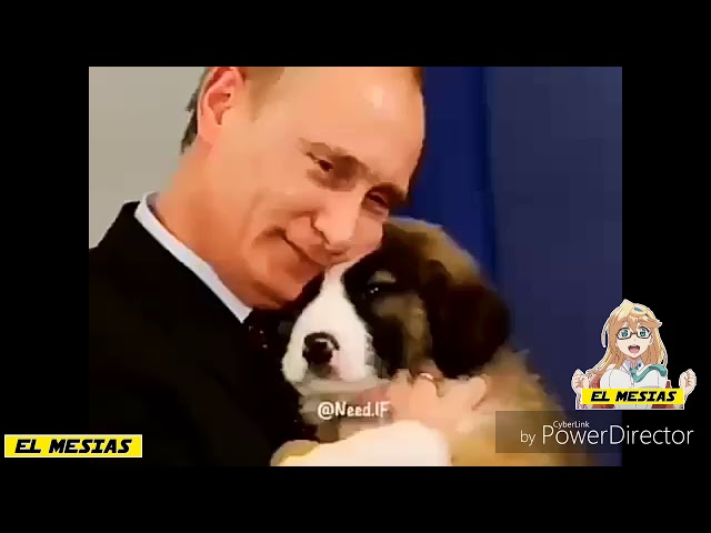Video Random #3 Videos Sublimes