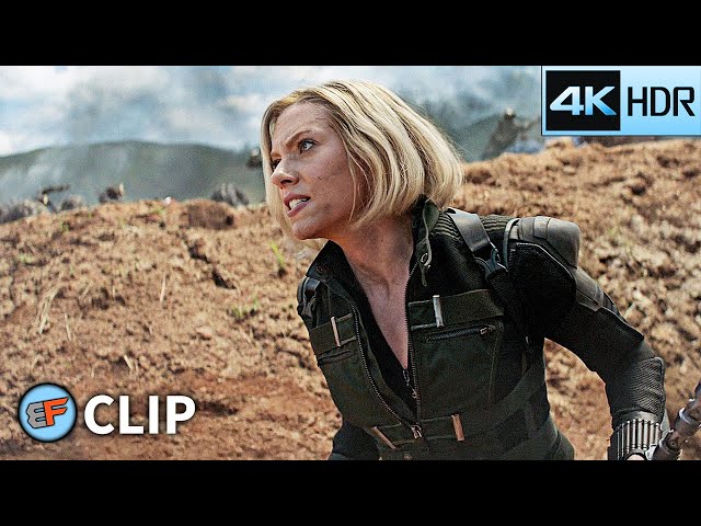 Black Widow & Okoye vs Proxima Midnight | Avengers Infinity War (2018) IMAX 4K HDR Movie Clip