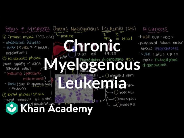 What is chronic myelogenous leukemia? | Hematologic System Diseases | NCLEX-RN | Khan Academy