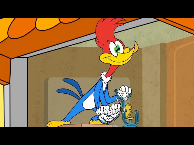 ¡La batalla de las tartas! | El Pájaro Loco | Dibujos Animados en Español