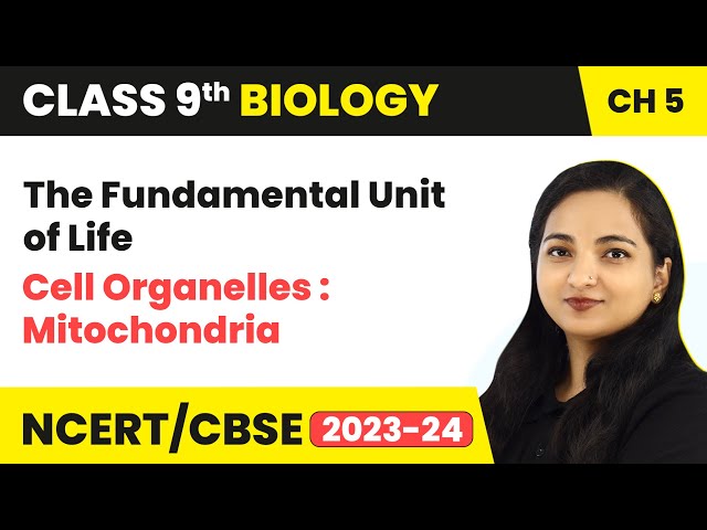 Cell Organelles : Mitochondria - The Fundamental Unit of Life | Class 9 Biology Chapter 5 | 2023-24