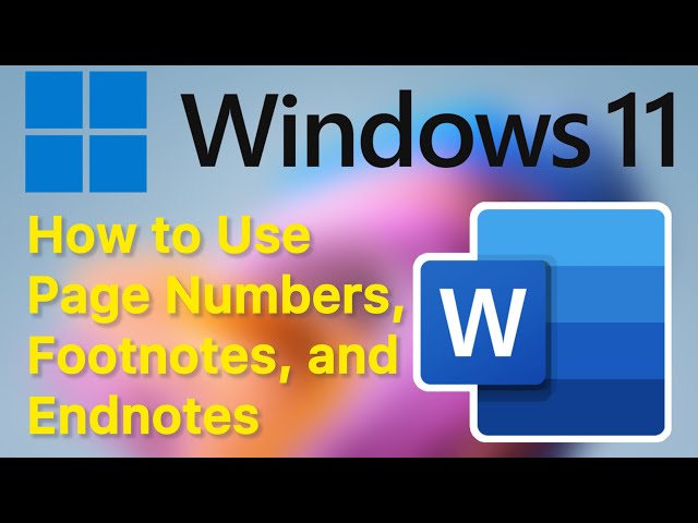 How to Use Page Numbers, Footnotes, and Endnotes