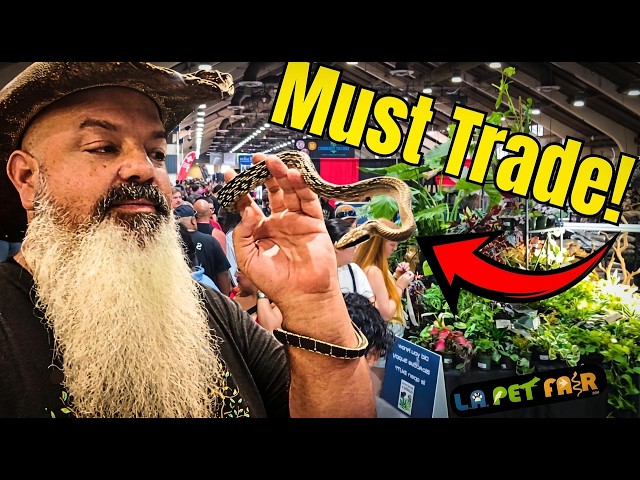I Bought a Snake I Couldn't Keep... So I Traded It at the Reptile Expo