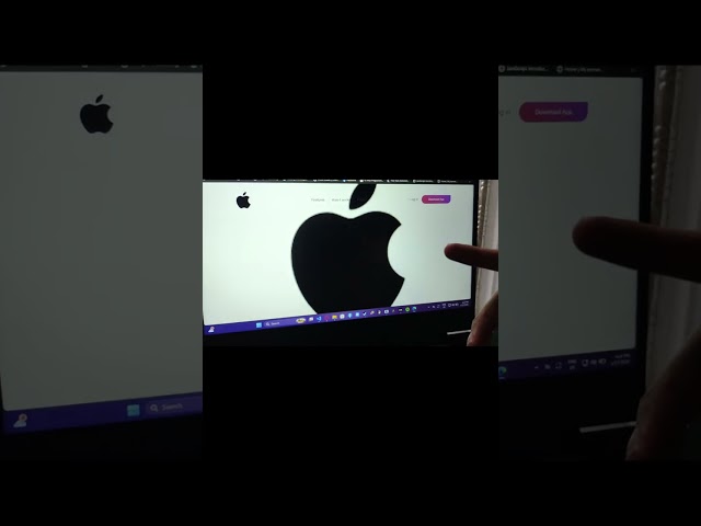 day 1 #code #coding #website #html