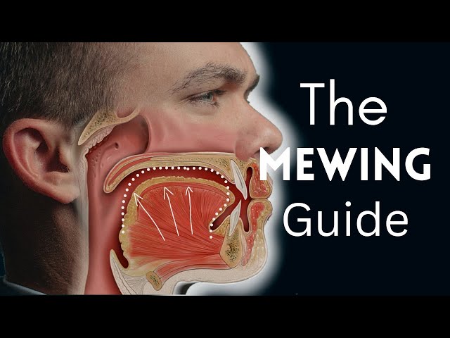 Mewing For Dummies!