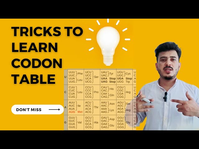 Tricks to memorize genetic codes|how to learn codon table and amino acid codes
