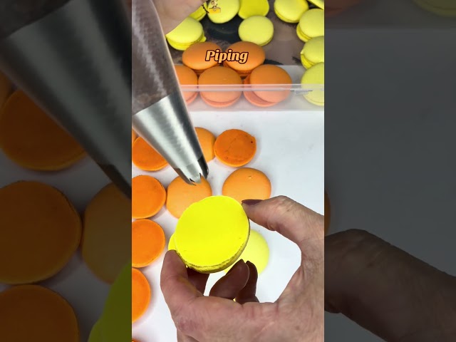 Showing my piping tips for macaron filling—so easy. #ASMR #Macarons #Baking #kovalicious