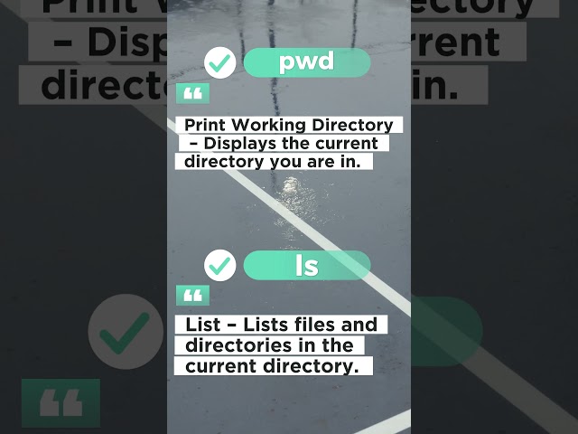 Basic Linux Command - Part 1 #linux #linuxskills #linuxforbeginners #linuxcommandline