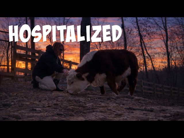 🚑CALL AN AMBULANCE NOW!!