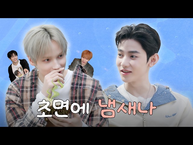 친구 후보 6. 장하오 | 휴닝카이 친구들도 첨벙첨벙 🌊