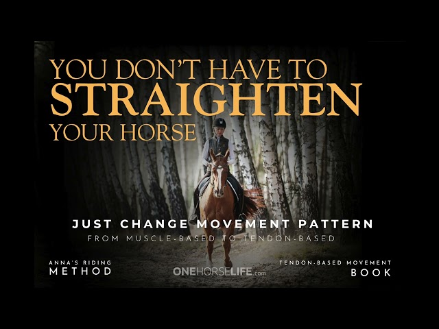 Crookedness of Your Horse is not a Training Problem —  It's a Wrong Movement Pattern Problem