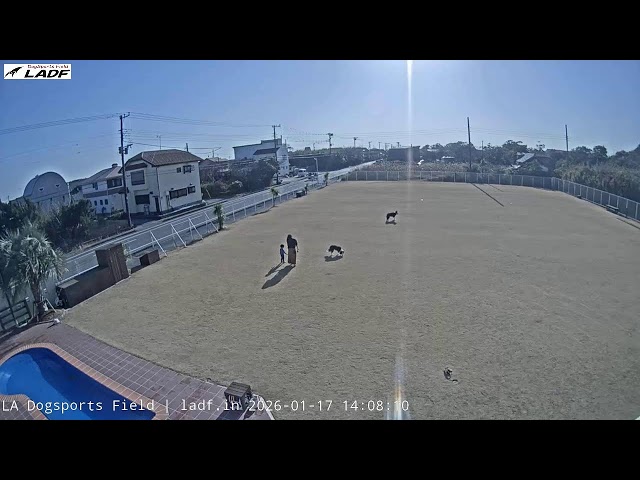 🔴LA DOGSPORTS FIELD