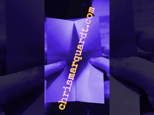 Dirty Little Zine