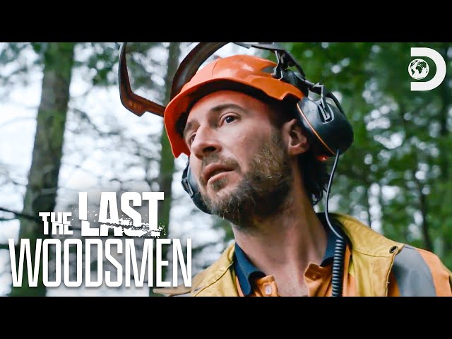 Trees with a Mind of Their Own 🧠 | The Last Woodsmen | Discovery