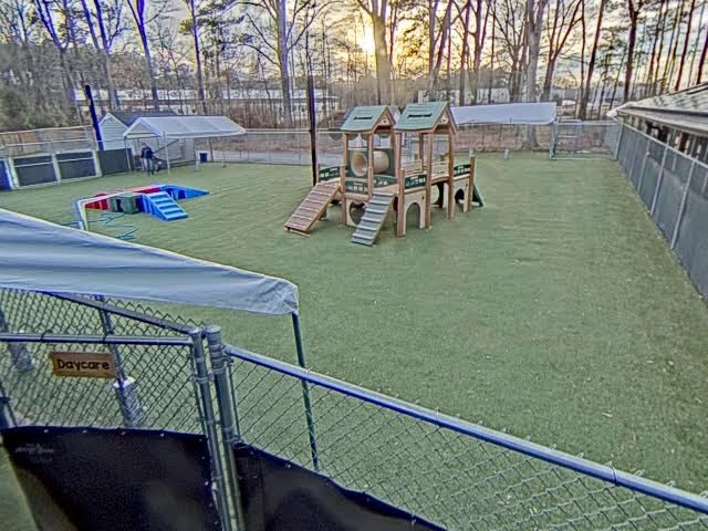 Daycare Play Yard 2