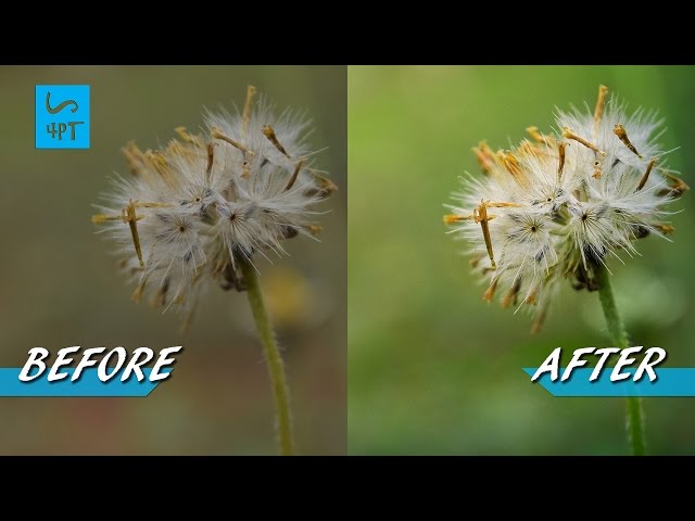 How to Give Life to a Nature Photograph, Photography Post Processing Photoshop Tutorial