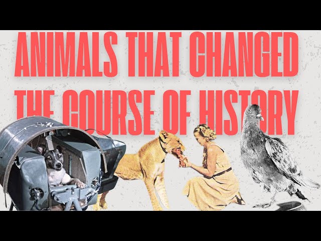 9 Animals that changed the course of History and Science