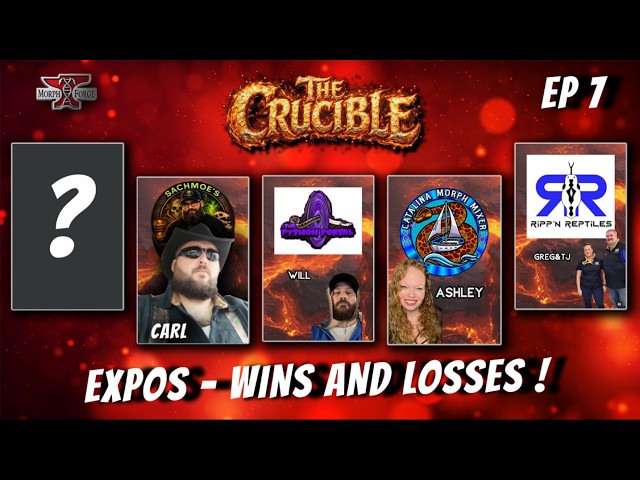 The Crucible EP7 - Expos - Wins and Losses