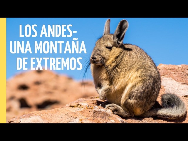 Sobrevivir en los Andes: Las Condiciones más Duras de la Naturaleza | Episodio Completo