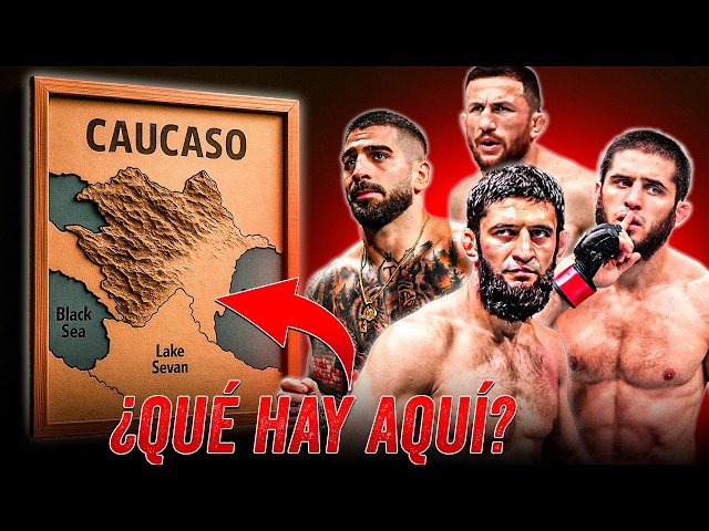 WHAT IS IT ABOUT CAUCASIAN FIGHTERS THAT DOMINATE THE UFC?