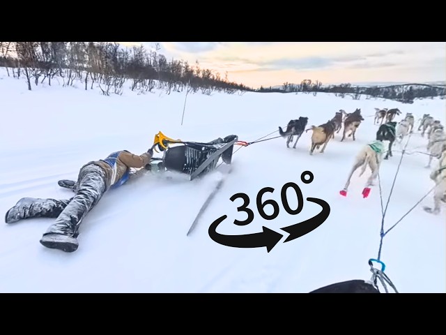 Dramatic 360° Video Rescue After Dog Sledder Crashes