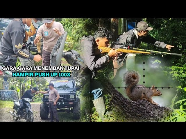 BERBURU TUPAI HUTAN: Tembakan Sempurna, Lewat Pos Pemeriksaan & Memasak Daging Tupai