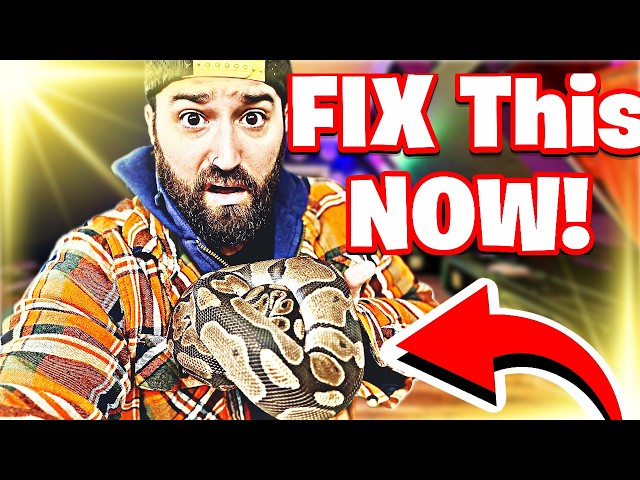 YOUR Snake Is STRESSED! | 5 Setup Changes That INSTANTLY Reduce STRESS!